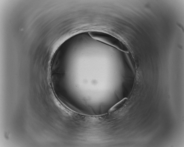 X0000101961528200808011056