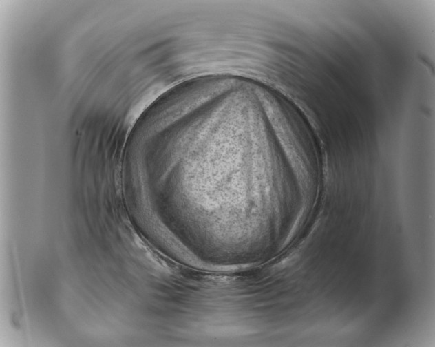 X0000101961529200808011056