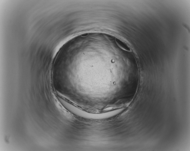 X0000101961530200808011056