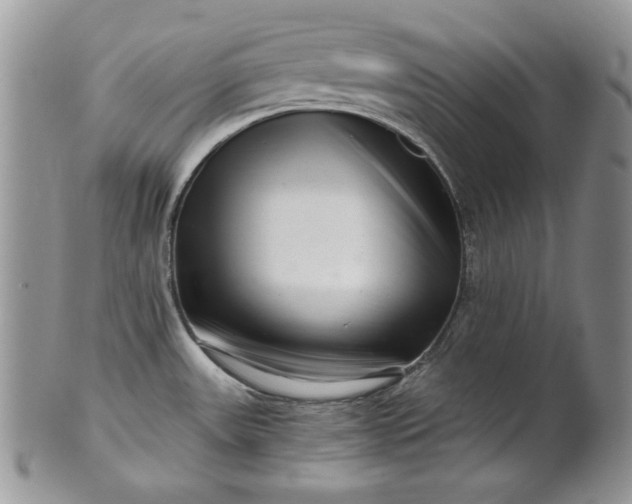 X0000101961531200808011056