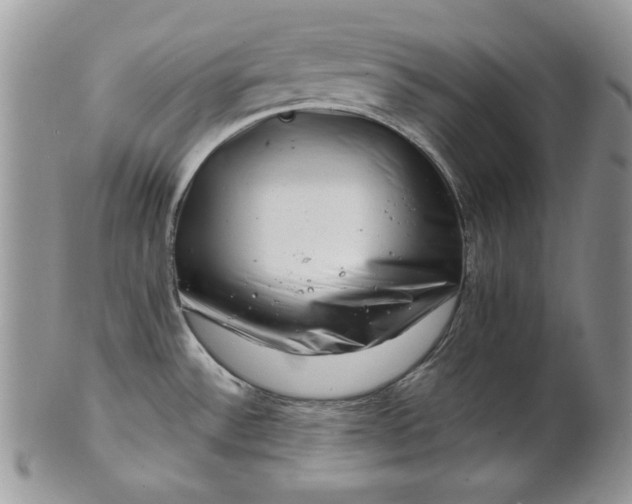 X0000101961532200808011056