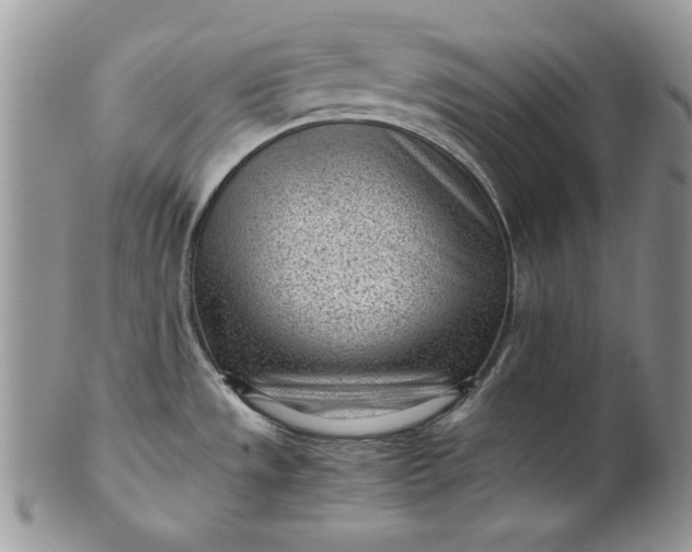 X0000101961533200808011056