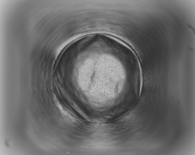 X0000101961534200808011056