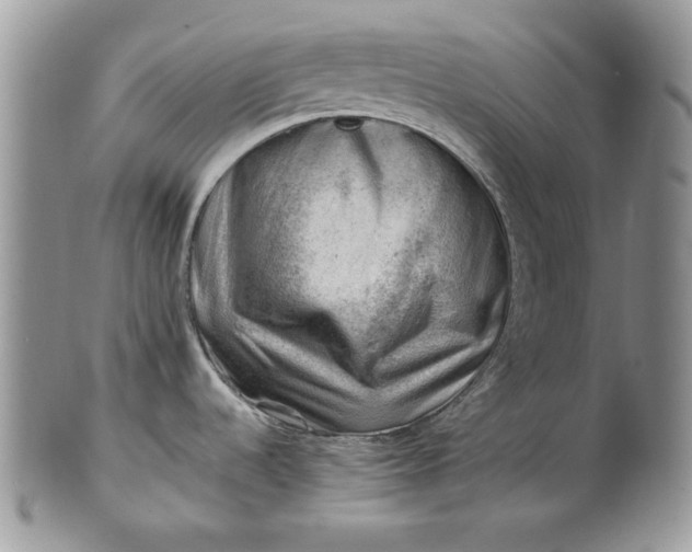 X0000101961536200808011056