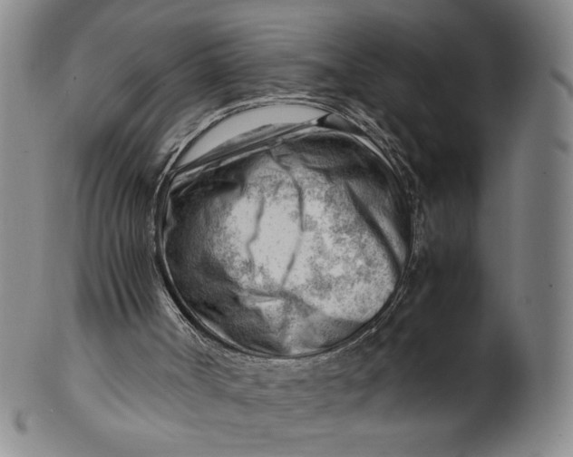 X0000101960002200808081538