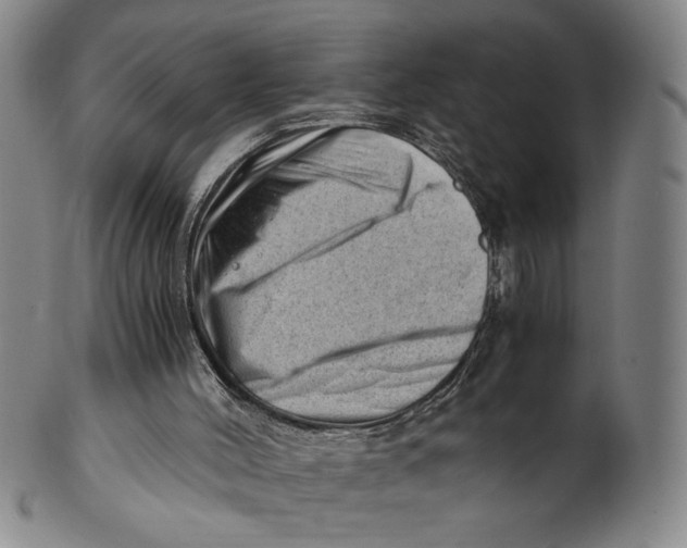 X0000101960004200808081538