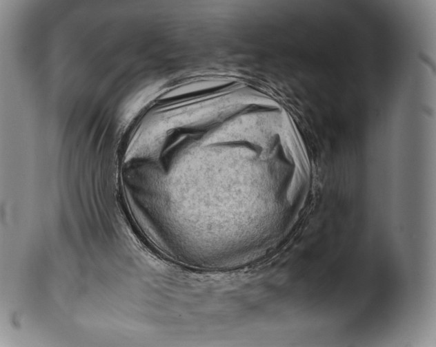 X0000101960005200808081538