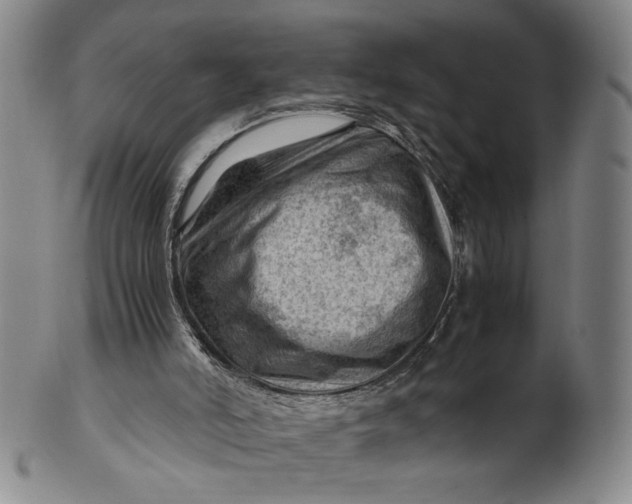 X0000101960006200808081538