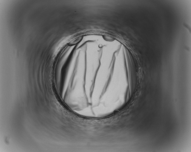 X0000101960007200808081538