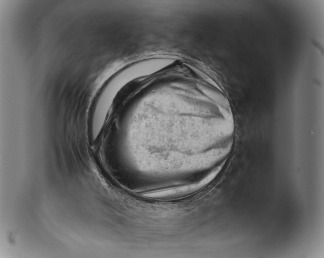 X0000101960008200808081538