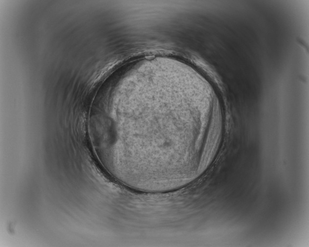 X0000101960009200808081538