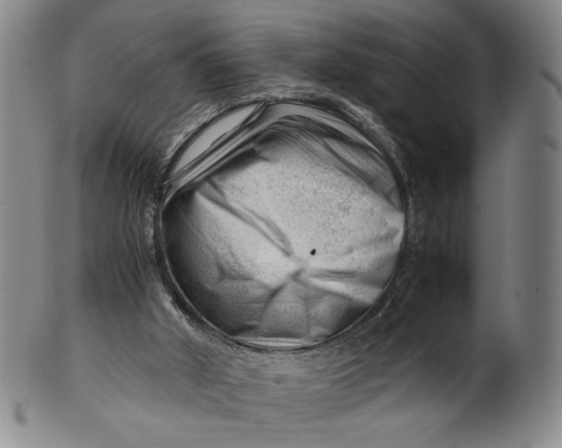 X0000101960010200808081538