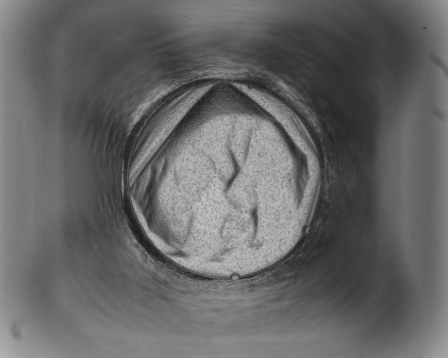 X0000101960011200808081538