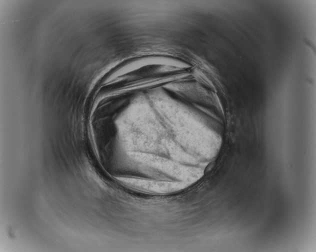 X0000101960012200808081538