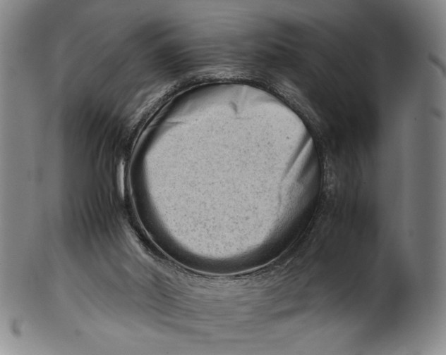 X0000101960014200808081538