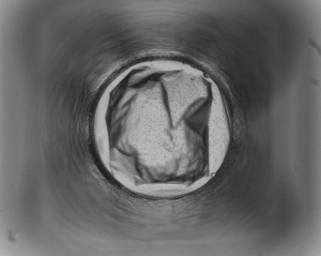 X0000101960015200808081538