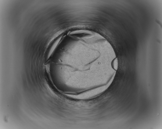 X0000101960016200808081538