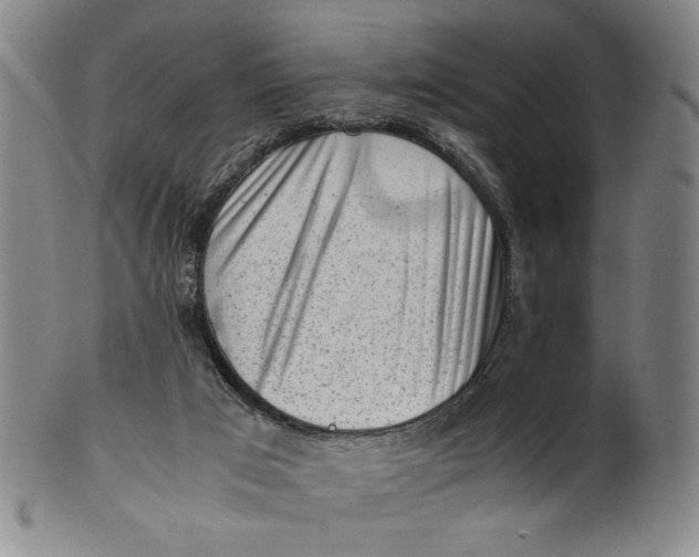 X0000101960017200808081538