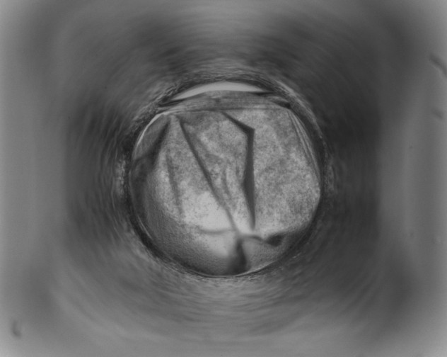 X0000101960018200808081538