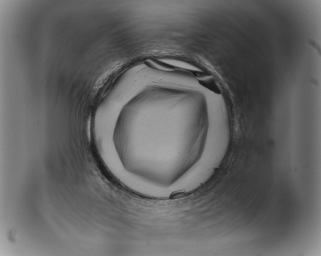 X0000101960019200808081538