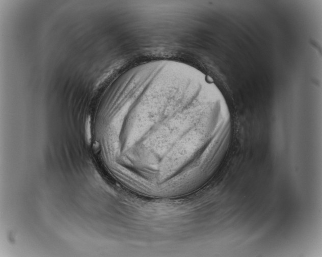 X0000101960020200808081538