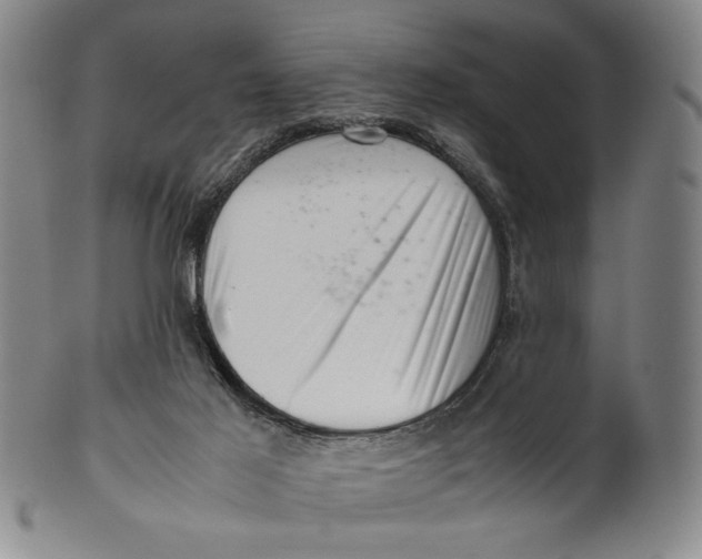 X0000101960021200808081538