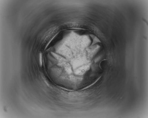 X0000101960022200808081538