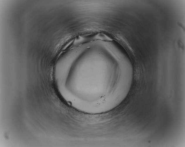 X0000101960023200808081538