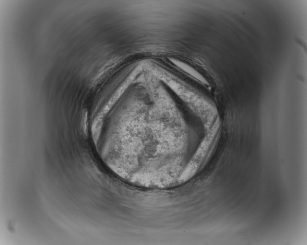 X0000101960024200808081538