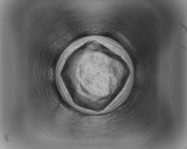 X0000101960025200808081538