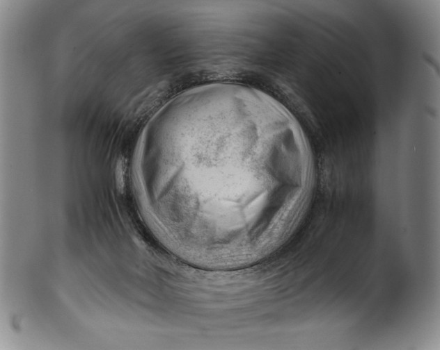 X0000101960026200808081538