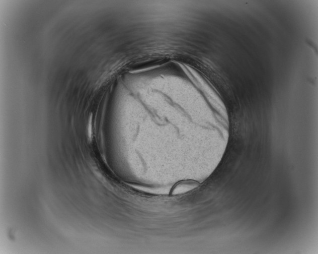 X0000101960028200808081538