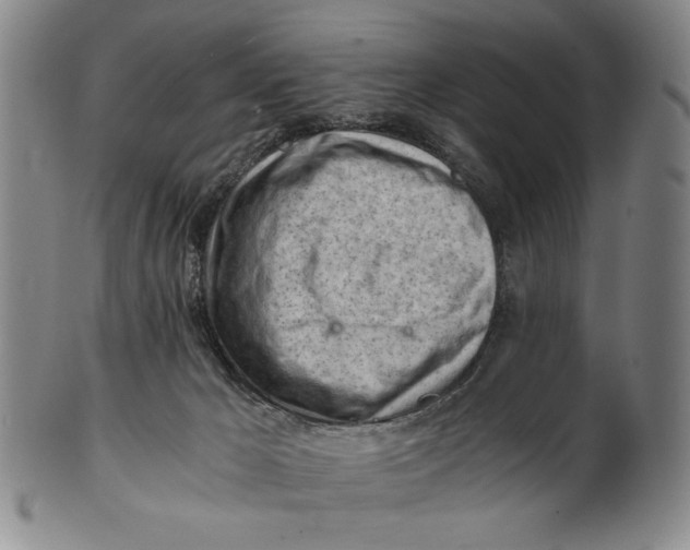 X0000101960029200808081538