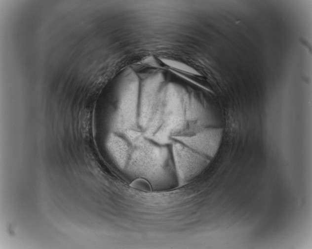 X0000101960030200808081538