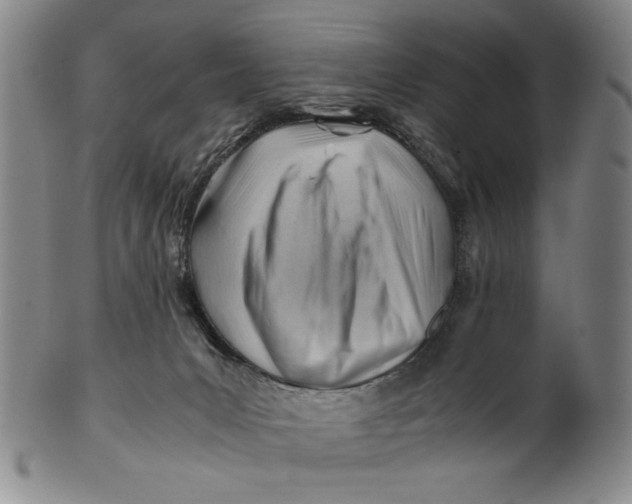 X0000101960031200808081538
