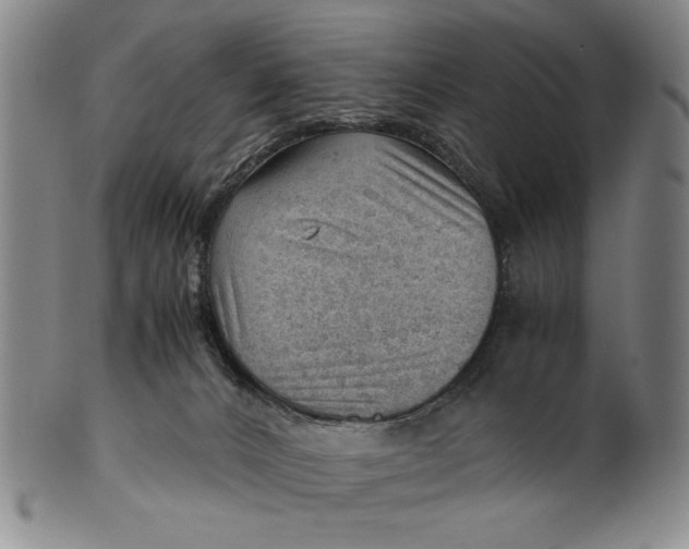 X0000101960032200808081538