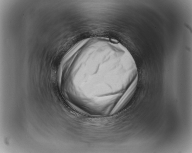 X0000101960033200808081538