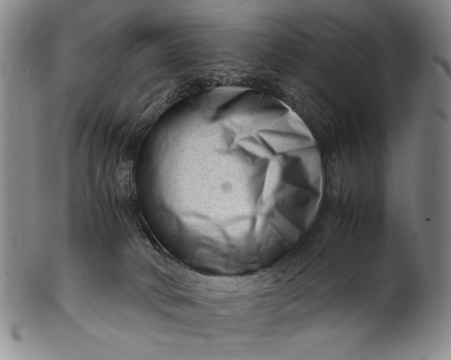 X0000101960034200808081538