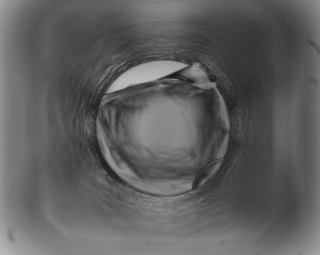 X0000101960035200808081538
