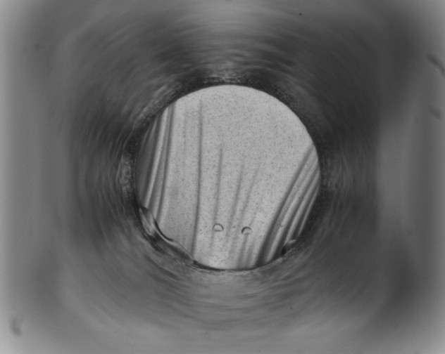 X0000101960036200808081538