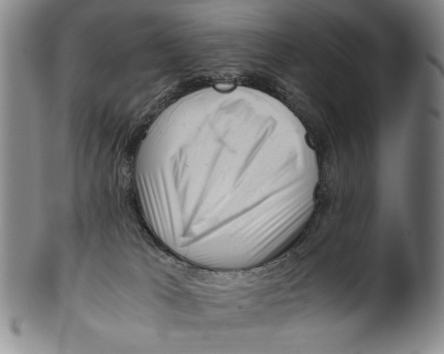 X0000101960037200808081538