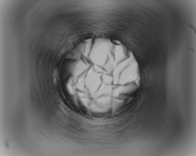 X0000101960038200808081538