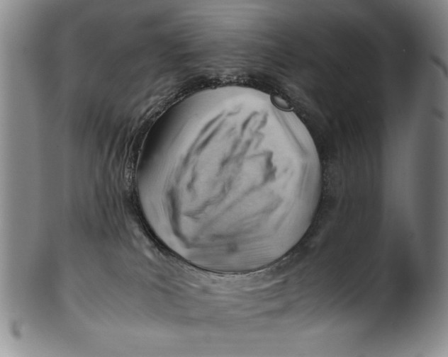 X0000101960039200808081538