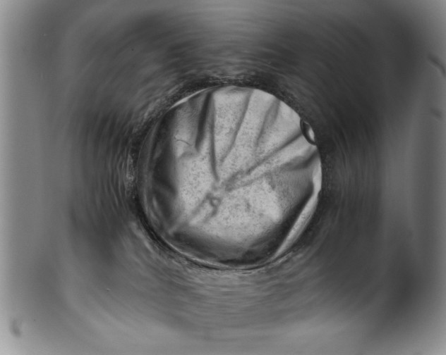 X0000101960040200808081538