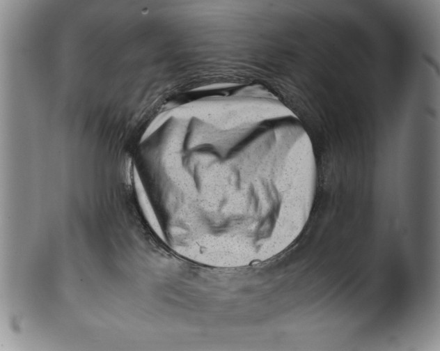 X0000101960041200808081538