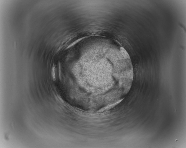 X0000101960042200808081538
