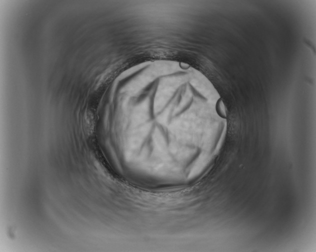 X0000101960043200808081538