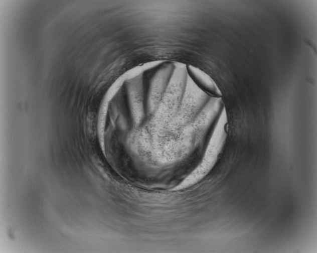 X0000101960044200808081538