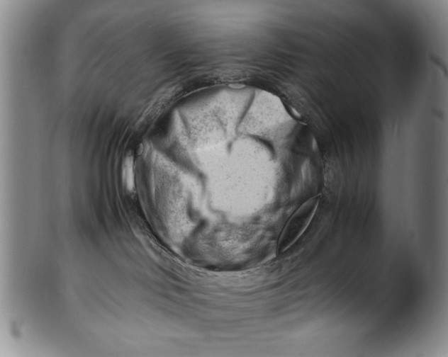 X0000101960046200808081538