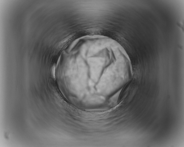 X0000101960047200808081538